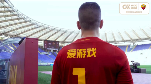 成功案例或