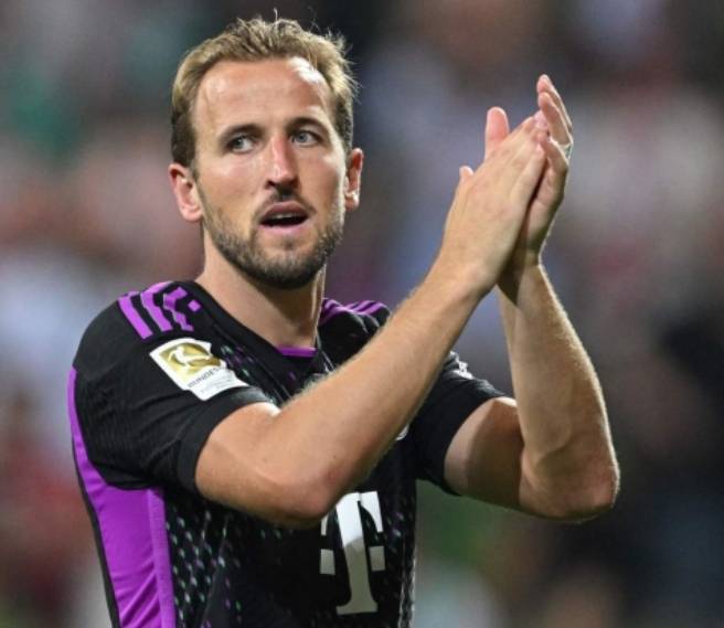 供了经验基 供了经验基