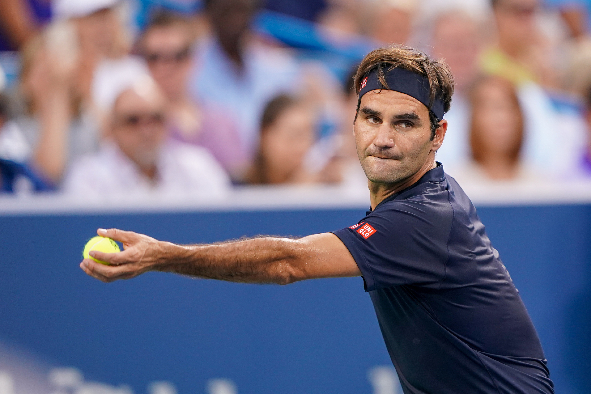 引起了市场 引起了市场